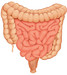detoxikace_crev-268x300.jpg