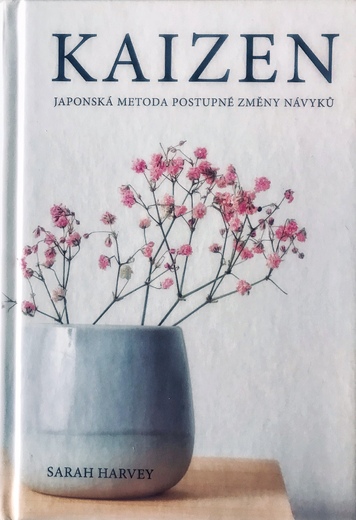 kaizen.jpg